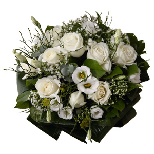 Ofra